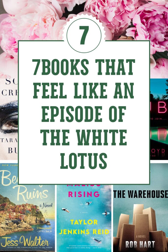 book that feel like an episode of white lotus
